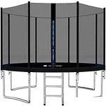 Springos 10ft 312 см (с внешней сеткой и лестницей)