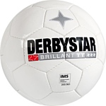 Derbystar Brillant TT (размер 4, белый) (1181400100)