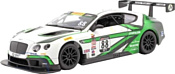 Bburago Bentley Continental GT3 18-28008 (белый/зеленый)