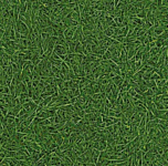 IVC Neo Grass 25