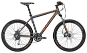 Focus Whistler 1.0 (2014) Focus Whistler 1.0 (2014)