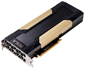 PNY Nvidia Tesla V100 16GB (RTCSV100MPCIE-PB)