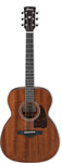 Ibanez AVC9-OPN