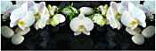 Comfort Alumin Орхидея на черном 3D 1.5