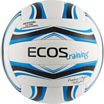 Ecos Training 998196 (5 размер, белый/синий/черный)