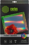 CACTUS Лазерно-зеркальный A4 260 г/кв.м. 10 листов