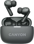 Canyon TWS-10