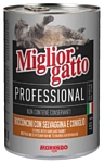 Miglior Gatto Professional Line Game and Rabbit