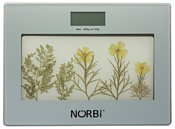 Norbi BS1202B06