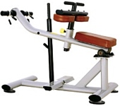 Bronze Gym H-029