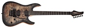 Schecter C-6 Pro FR