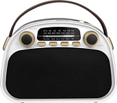 Ritmix RPR-040