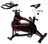 American Motion Fitness 4813