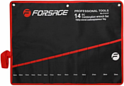 FORSAGE F-5141M-P (New)