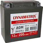 Dynamatrix AGM DEK131 200A (12Ah)