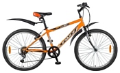 Foxx Mango 24 (2018)