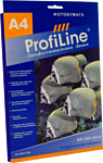 ProfiLine PL-VP-260-A4-M-25