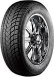 Pace Antarctica 5 195/65 R15 91H