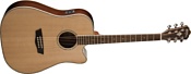 Washburn WD25SCE