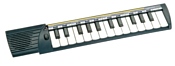 Bontempi C 25.N