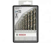 Bosch 2607019925 10 предметов