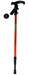ZEZ Sport DS2 Red ZEZ Sport DS2 Red