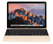 Apple MacBook (2018 год) Apple MacBook (2018 год)