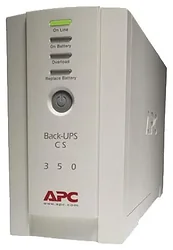 Источник бесперебойного питания APC Back-UPS CS 350 USB/Serial (BK350EI)