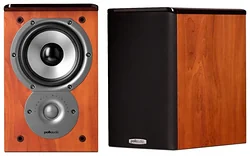 Акустическая система Polk Audio TSi 100