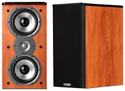 Polk Audio TSi 200