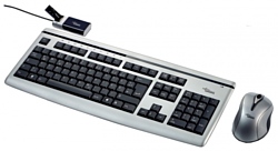 Fujitsu-Siemens Wireless Keyboard LX850 Silver-black USB