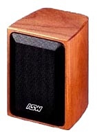 ASW Loudspeaker Opus S