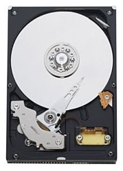 Western Digital WD2500AAJB