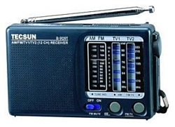 Tecsun R-909