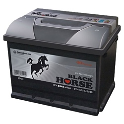 Black Horse 6СТ-55 L (55Ah)