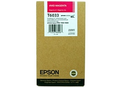 Epson C13T603300