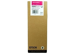 Epson C13T606300