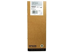 Epson C13T606700