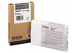 Epson C13T605900