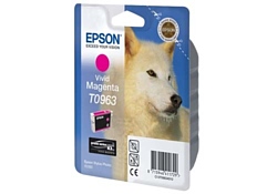 Epson C13T09634010