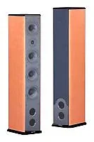 Акустическая система AAD C800i Tower