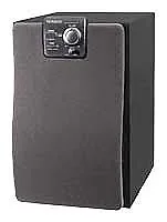 Акустическая система KENWOOD SW-305