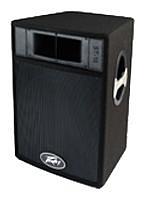 Peavey ST 15