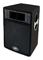 Peavey ST 12