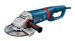 Bosch GWS 24-230 JVX (0601864U04)