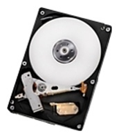 HGST Deskstar 5K1000.B HGST Deskstar 5K1000.B