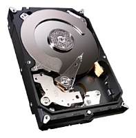 Seagate ST2000DM001