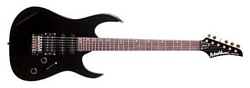 Washburn WR120