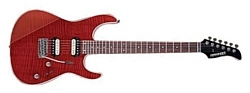 Fernandes Guitars FR-40H