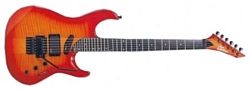 Washburn EC29